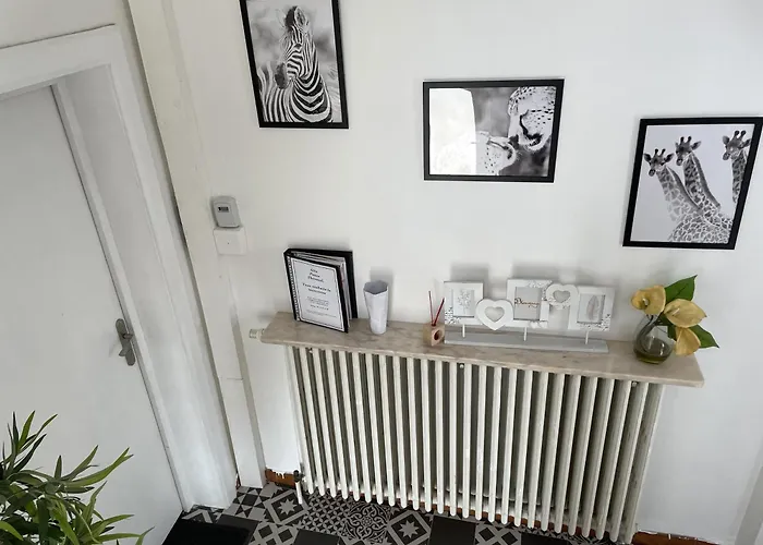 Elysium * Amnéville